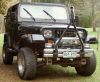 Fiji Jeep: 1994 Wrangler